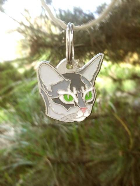 Obesek za mucke - Abesinka, modra.