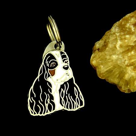 ameriški kokeršpanjel