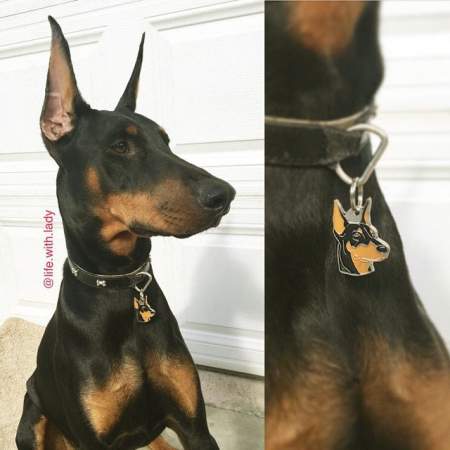 Obesek za psa z gravuro Doberman