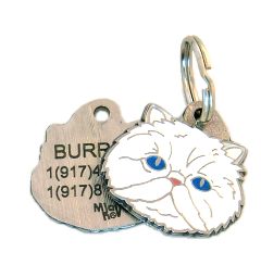 Perzijska mačka - bela.